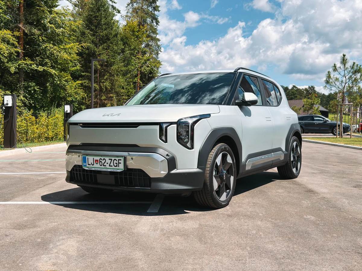electric model